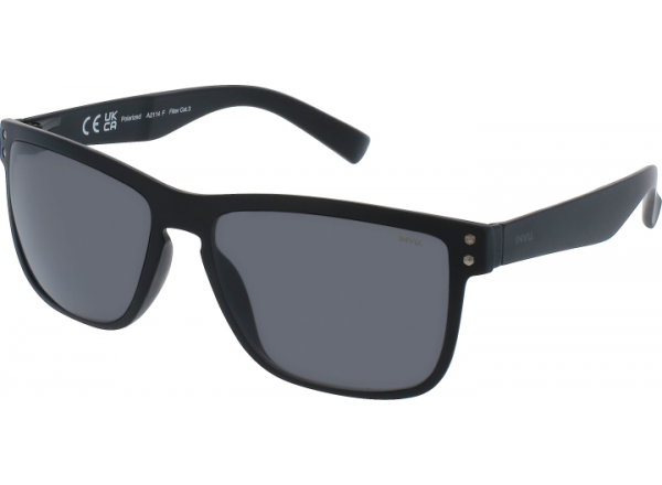 Saulės akiniai INVU A2114F